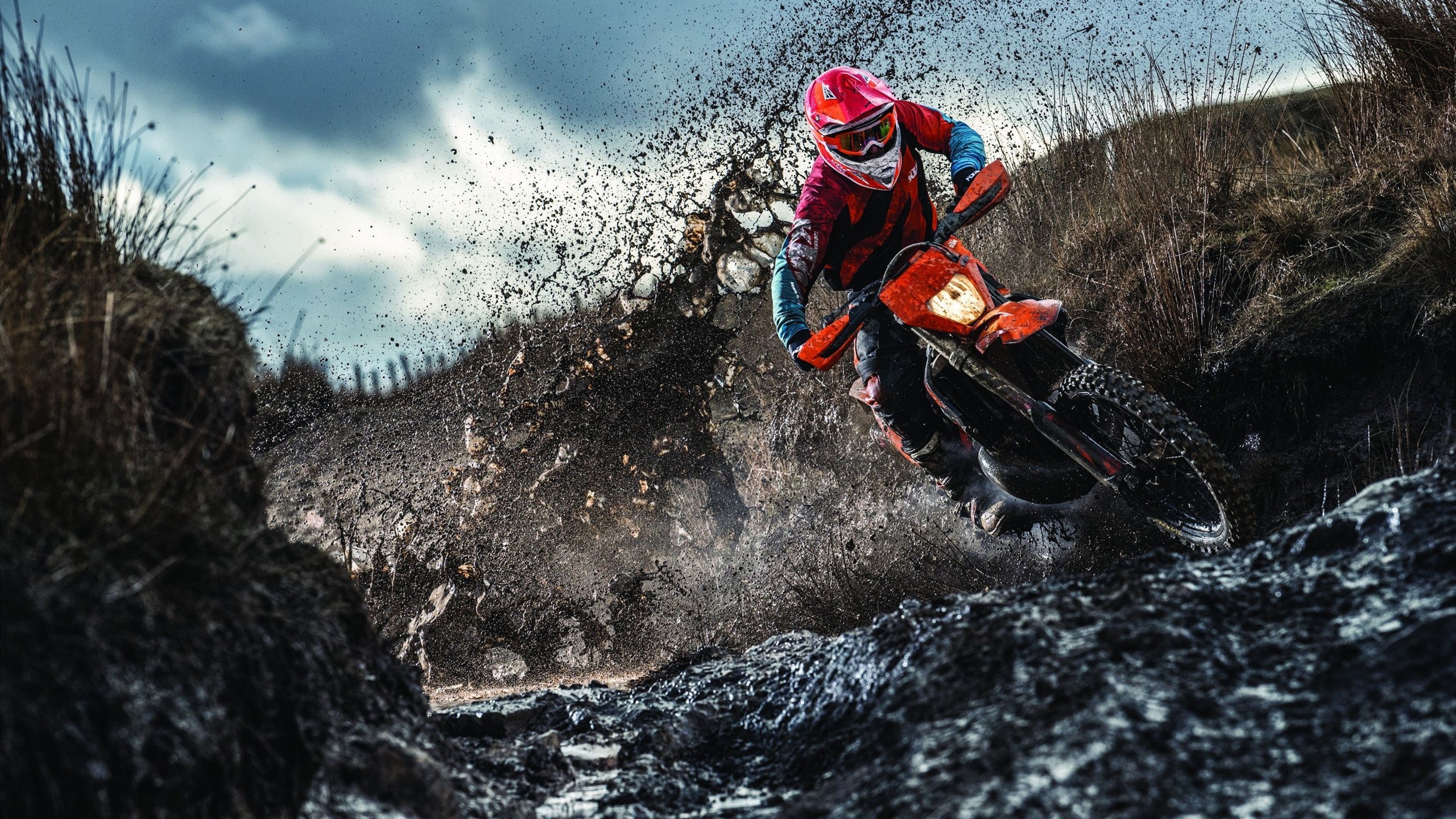 韩国星际争霸职业联赛精彩回顾,韩国星际争霸球赛