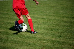 爱游戏平台体验-体育新闻中心发布体育短视频内容运营新策略，体育短视频存在的问题